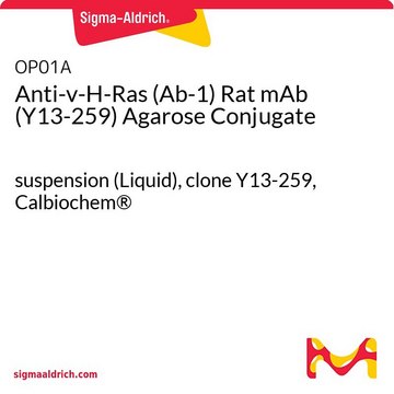 Anti-v-H-Ras (Ab-1) Rat mAb (Y13-259) Agarose Conjugate suspension (Liquid), clone Y13-259, Calbiochem&#174;