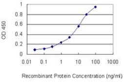 Monoclonal Anti-HOXC6 antibody produced in mouse clone 2A4, purified immunoglobulin, buffered aqueous solution