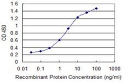 Monoclonal Anti-PSCA antibody produced in mouse clone 1E1, purified immunoglobulin, buffered aqueous solution