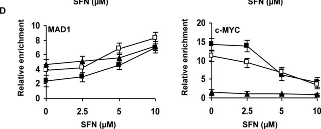 Anti-Myc Antibody Upstate&#174;, from rabbit