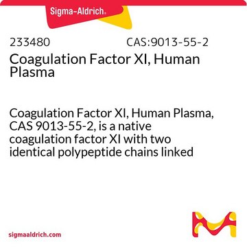 Coagulation Factor XI, Human Plasma Coagulation Factor XI, Human Plasma, CAS 9013-55-2, is a native coagulation factor XI with two identical polypeptide chains linked by disulfide bond. It is activated to Factor XIa by Factor XIIa.