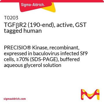 TGF&#946;R2 (190-端)，活性，GST 标记 人 PRECISIO&#174; Kinase, recombinant, expressed in baculovirus infected Sf9 cells, &#8805;70% (SDS-PAGE), buffered aqueous glycerol solution