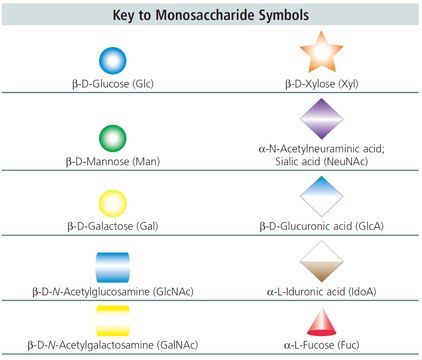 MAN-9 Glycan &#8805;80%