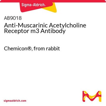 Anti-Muscarinic Acetylcholine Receptor m3 Antibody Chemicon&#174;, from rabbit