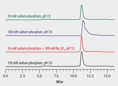 Mobile Phase Optimization in the Analysis of Lysozyme on Zenix&#174; SEC-300 application for HPLC