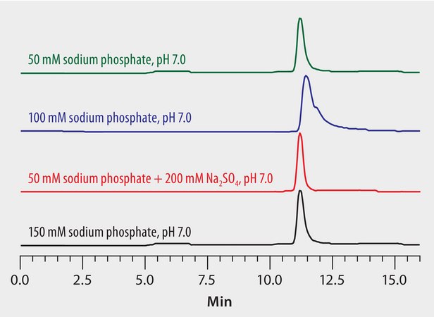 Mobile Phase Optimization in the Analysis of Lysozyme on Zenix&#174; SEC-300 application for HPLC