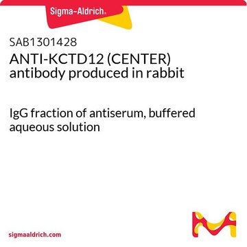 ANTI-KCTD12 (CENTER) antibody produced in rabbit IgG fraction of antiserum, buffered aqueous solution