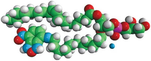 18:1-12:0 NBD PG Avanti Polar Lipids 810166P, powder