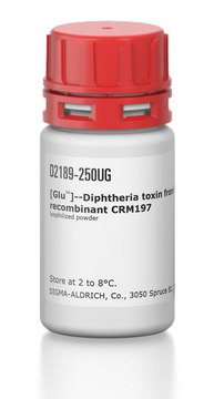 Recombinant CRM197 expressed in Pseudomonas fluorescens, [Glu52]- Diphtheria toxin lyophilized powder