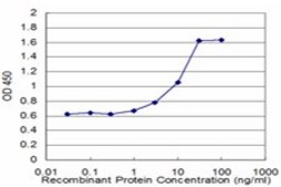 Monoclonal Anti-HESX1, (N-terminal) antibody produced in mouse clone 2C4, purified immunoglobulin, buffered aqueous solution