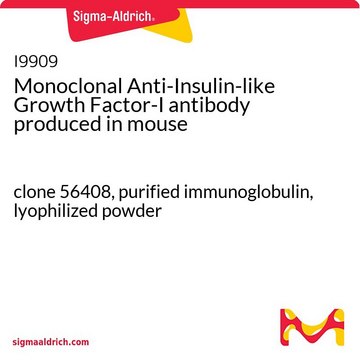 Monoclonal Anti-Insulin-like Growth Factor-I antibody produced in mouse clone 56408, purified immunoglobulin, lyophilized powder