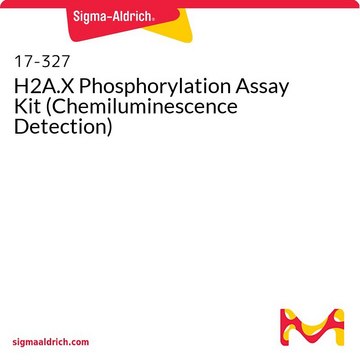 H2A.X Phosphorylation Assay Kit (Chemiluminescence Detection)