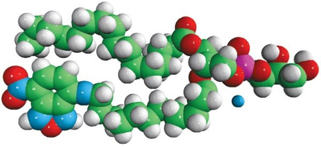 16:0-12:0 NBD PG Avanti Polar Lipids 810164P, powder