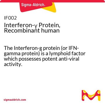 Interferon-&#947; Protein, Recombinant human The Interferon-g protein (or IFN-gamma protein) is a lymphoid factor which possesses potent anti-viral activity.