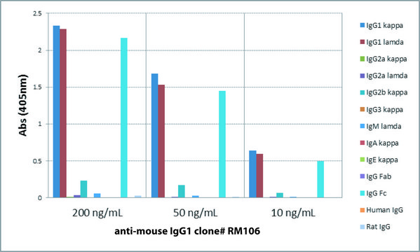 Anti-Mouse IgG1-Biotin antibody, Rabbit monoclonal recombinant, expressed in HEK 293 cells, clone RM106, purified immunoglobulin