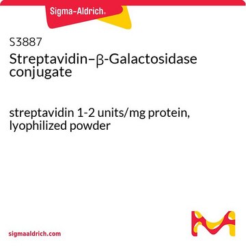 链霉抗生物素蛋白–&#946;-半乳糖苷酶缀合物 streptavidin 1-2&#160;units/mg protein, lyophilized powder