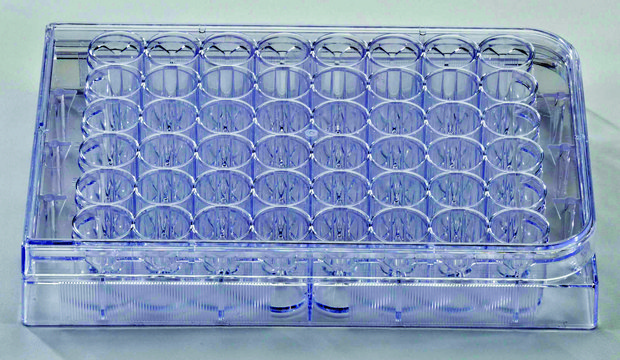 Sigma &#174; 细胞培养板 size 48&#160;wells, flat bottom, sterile, tissue-culture treated, pack of 100&#160;ea individually packed