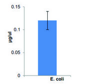 Lipopolysaccharide (LPS) Isolation Kit sufficient for 10 isolation(s)