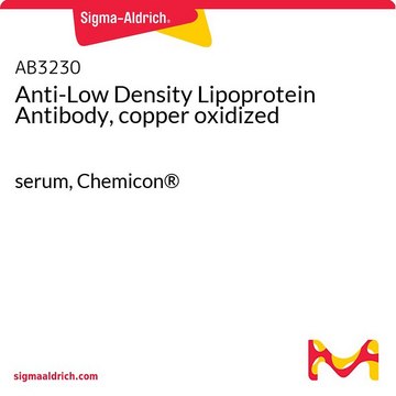 Anti-Low Density Lipoprotein Antibody, copper oxidized serum, Chemicon&#174;