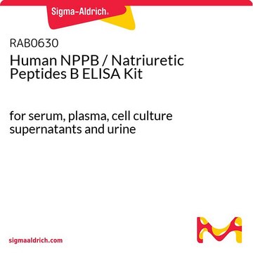 人NPPB /利钠肽B ELISA试剂盒 for serum, plasma, cell culture supernatants and urine