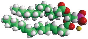 16:0-20:4 PA 1-palmitoyl-2-arachidonoyl-sn-glycero-3-phosphate (sodium salt), chloroform