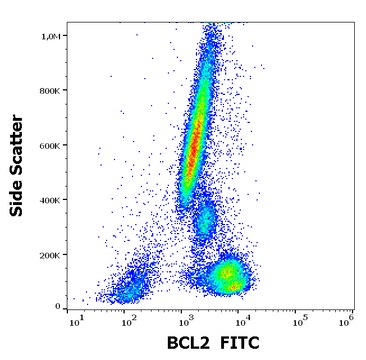 Monoclonal Anti-BCL2 FITC produced in mouse