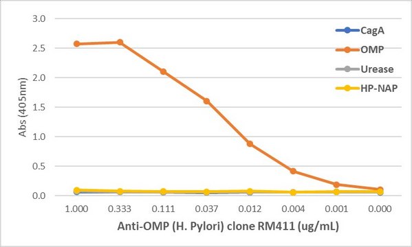 Anti-OMP (Helicobacter Pylori) Rabbit Monoclonal Antibody clone RM411, affinity purified immunoglobulin