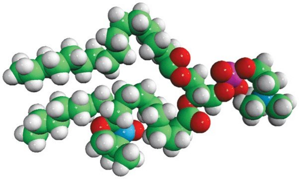 16:0-10 Doxyl PC Avanti Polar Lipids 810603C