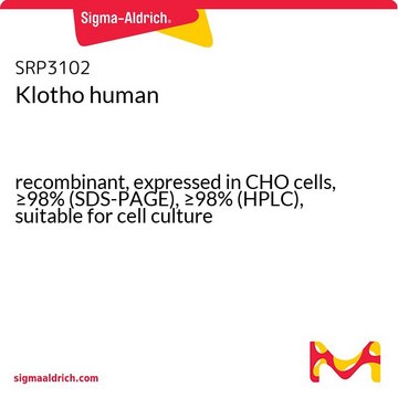 Klotho human recombinant, expressed in CHO cells, &#8805;98% (SDS-PAGE), &#8805;98% (HPLC), suitable for cell culture