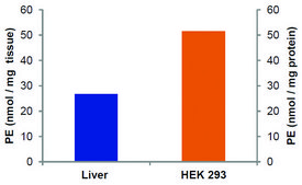 Phosphatidylethanolamine Assay Kit (Fluorometric) sufficient for 100 fluorometric&nbsp;tests
