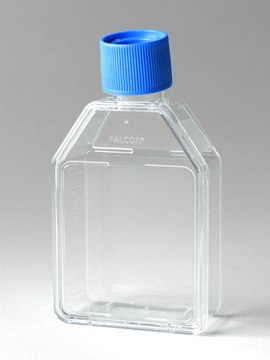 Corning&#174; Falcon&#174; Cell Culture Flask capacity 50&#160;mL, canted neck, graduated, 5 &#8209; 40&#160;mL, cap, blue vented