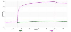 Anti-phospho ABL1 (Tyr245) Antibody, clone 3F7 ZooMAb® Rabbit Monoclonal recombinant, expressed in HEK 293 cells