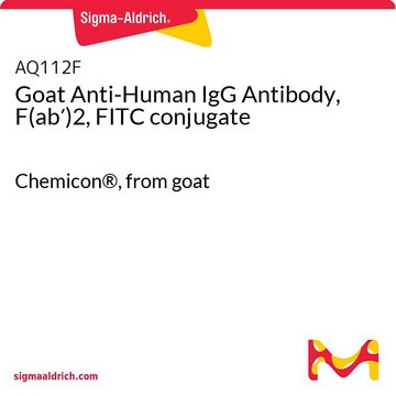 Goat Anti-Human IgG Antibody, F(ab&#8242;)2, FITC conjugate Chemicon&#174;, from goat