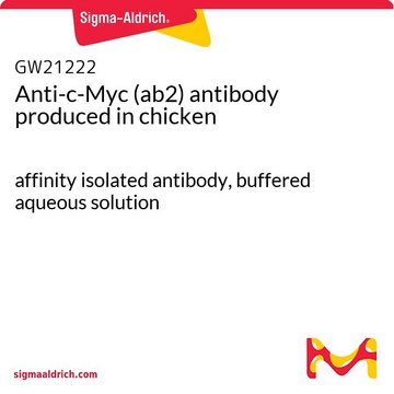 Anti-c-Myc (ab2) antibody produced in chicken affinity isolated antibody, buffered aqueous solution