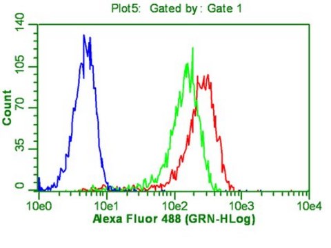 Anti-OCT-4 [POU5F1] Antibody, clone 7F9.2 clone 7F9.2, from mouse