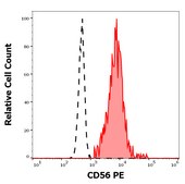 Monoclonal Anti-CD56 PE produced in mouse