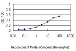 Monoclonal Anti-RIPK4 antibody produced in mouse clone 2G3, purified immunoglobulin, buffered aqueous solution