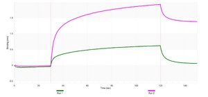 Anti-GNB1 Antibody, clone 1J8 ZooMAb® Rabbit Monoclonal recombinant, expressed in HEK 293 cells