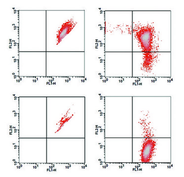 Mitochondrial Membrane Potential Kit sufficient for 100 fluorometric&nbsp;tests (flow cytometry)