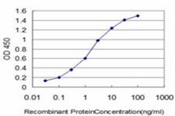 ANTI-HOXB7 antibody produced in mouse clone 4C6, purified immunoglobulin, buffered aqueous solution