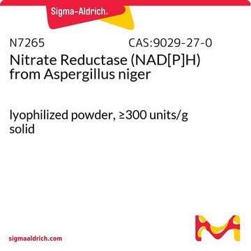 硝酸还原酶 (NAD[P]H) 来源于黑曲霉 lyophilized powder, &#8805;300&#160;units/g solid