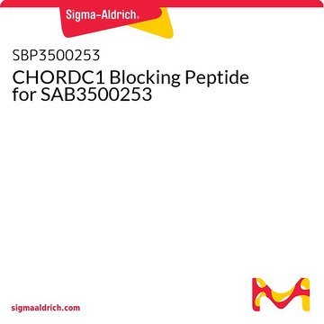 CHORDC1 Blocking Peptide for SAB3500253