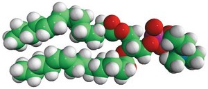14:1 (Δ9-Cis) PC 1,2-dimyristoleoyl-sn-glycero-3-phosphocholine, chloroform