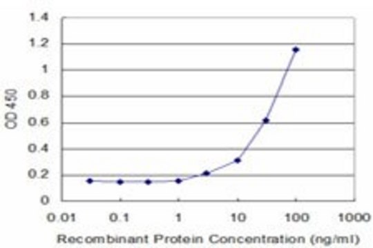 Monoclonal Anti-CYP2D6 antibody produced in mouse clone 2C5, purified immunoglobulin, buffered aqueous solution