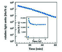 β-Gal Reporter Gene Assay, chemiluminescent sufficient for 500 assays (microplate), sufficient for 250 assays (tubes)