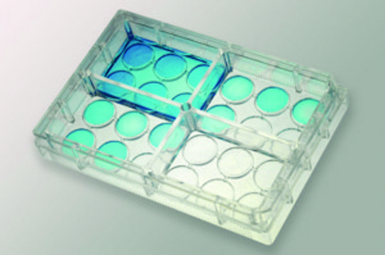 IdMOC&#174; tissue culture plate 4 chambers, size 24&#160;wells, pkg of 1&#160;ea