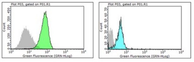 Anti-FGF23 Antibody, clone 278-2 clone 278-2, from mouse