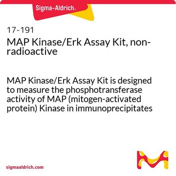 MAP Kinase/Erk Assay Kit, non-radioactive MAP Kinase/Erk Assay Kit is designed to measure the phosphotransferase activity of MAP (mitogen-activated protein) Kinase in immunoprecipitates &amp; column fractions.