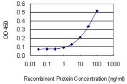 Monoclonal Anti-LAMA2 antibody produced in mouse clone 2D4, purified immunoglobulin, buffered aqueous solution