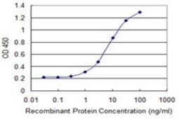Monoclonal Anti-ZNF34 antibody produced in mouse clone 1B11, purified immunoglobulin, buffered aqueous solution